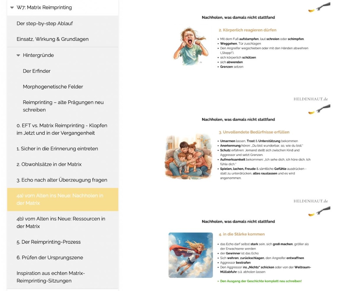 Inhaltsverzeichnis Onlinekurs Kursübersicht – Inhaltsverzeichnis Onlinkeurs Skin picking Vorschau 3 Vorschau eines Moduls im Onlinekursbereich Skin picking