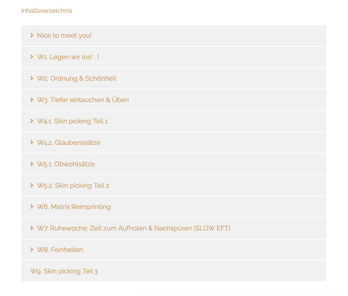 Inhaltsverzeichnis Skin picking Kurs – Übersicht Auflistung der Übersicht im Onlinekurs gegen Skin picking - Vorschau