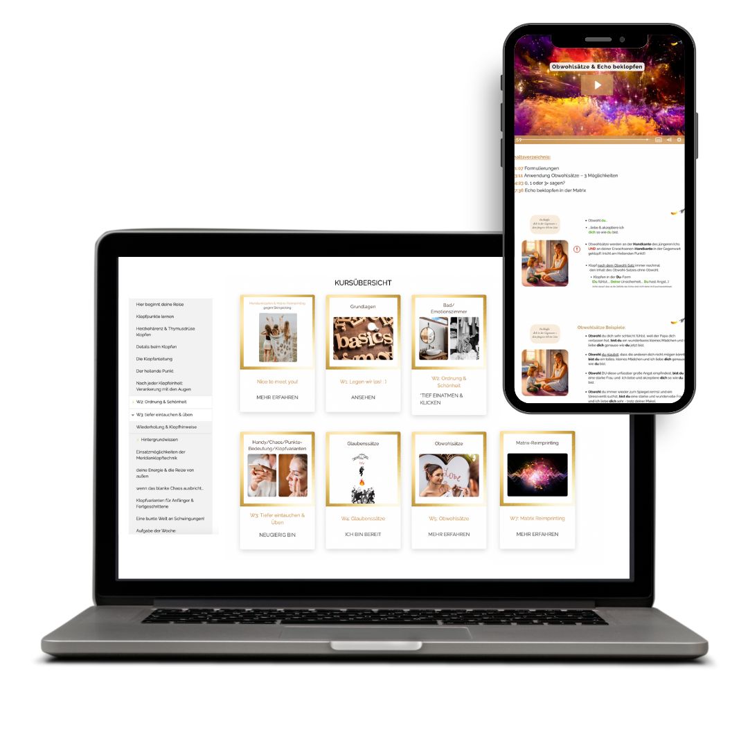 Mockup 2 Onlinekurs So sieht der Kursbereich aktuell aus.